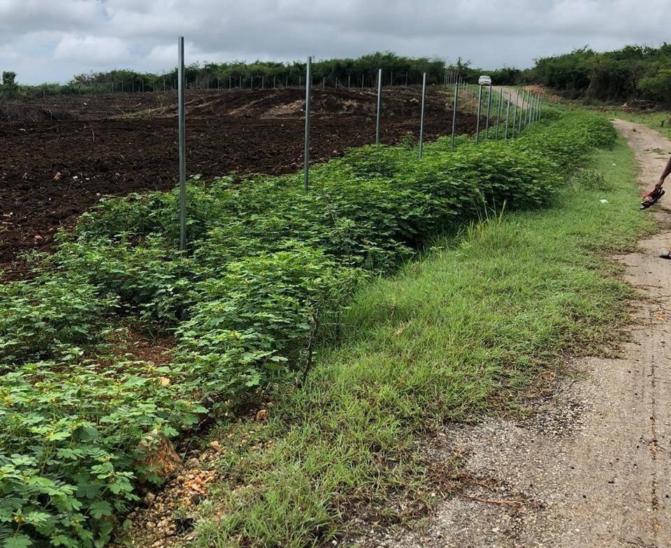 Third image of Part of Colbeck in Colbeck, St. Catherine, Jamaica - property is For Sale