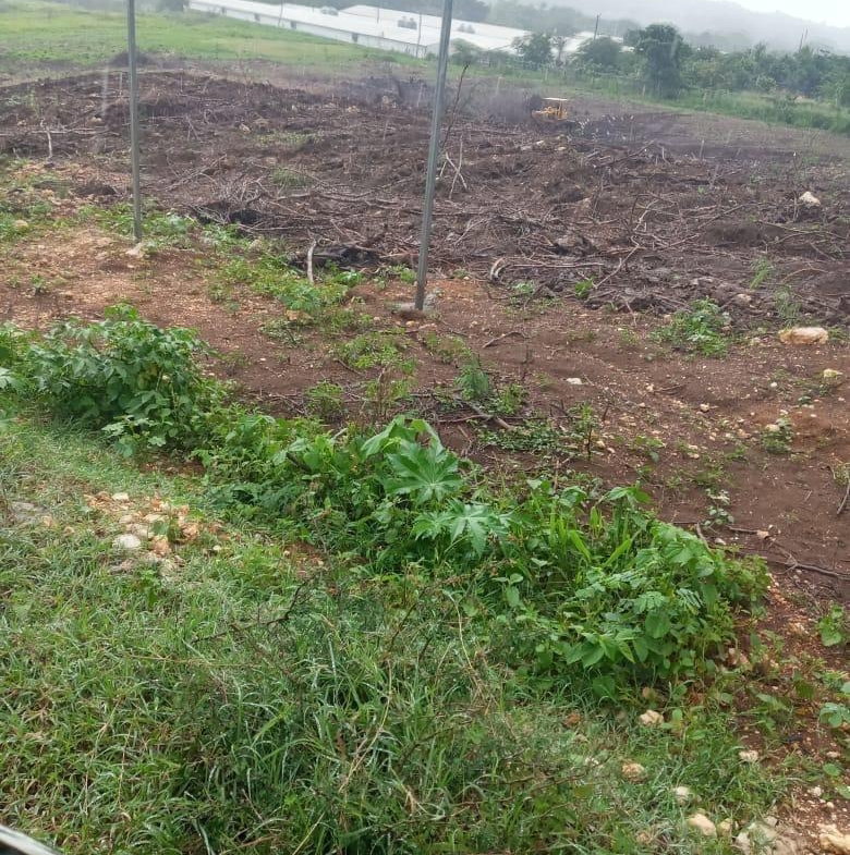 Fourth image of Part of Colbeck in Colbeck, St. Catherine, Jamaica - property is For Sale