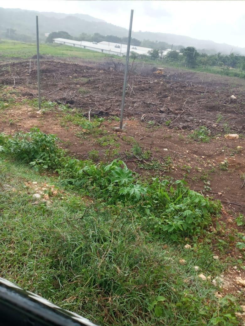 Fourth image of Part of Colbeck in Colbeck, St. Catherine, Jamaica - property is For Sale