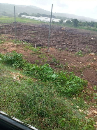 Fourth image of Part of Colbeck in Colbeck, St. Catherine, Jamaica - property is For Sale