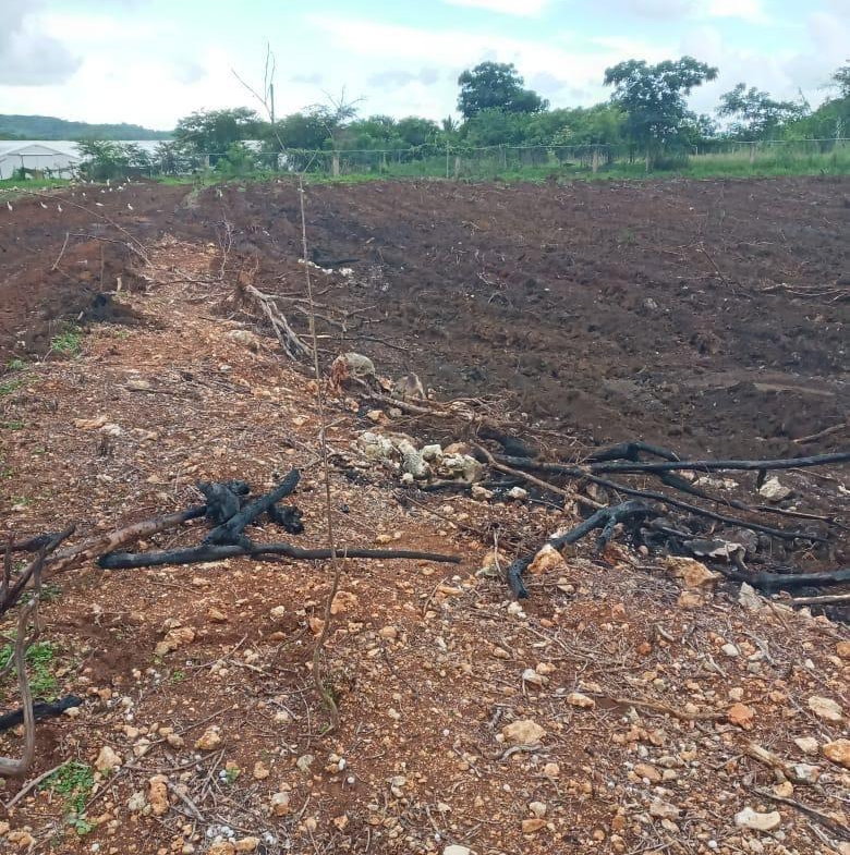 Sixth image of Part of Colbeck in Colbeck, St. Catherine, Jamaica - property is For Sale