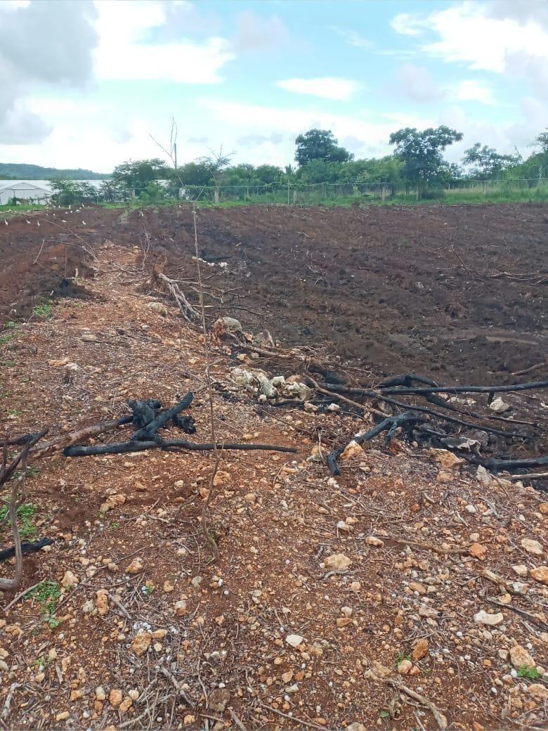 Sixth image of Part of Colbeck in Colbeck, St. Catherine, Jamaica - property is For Sale