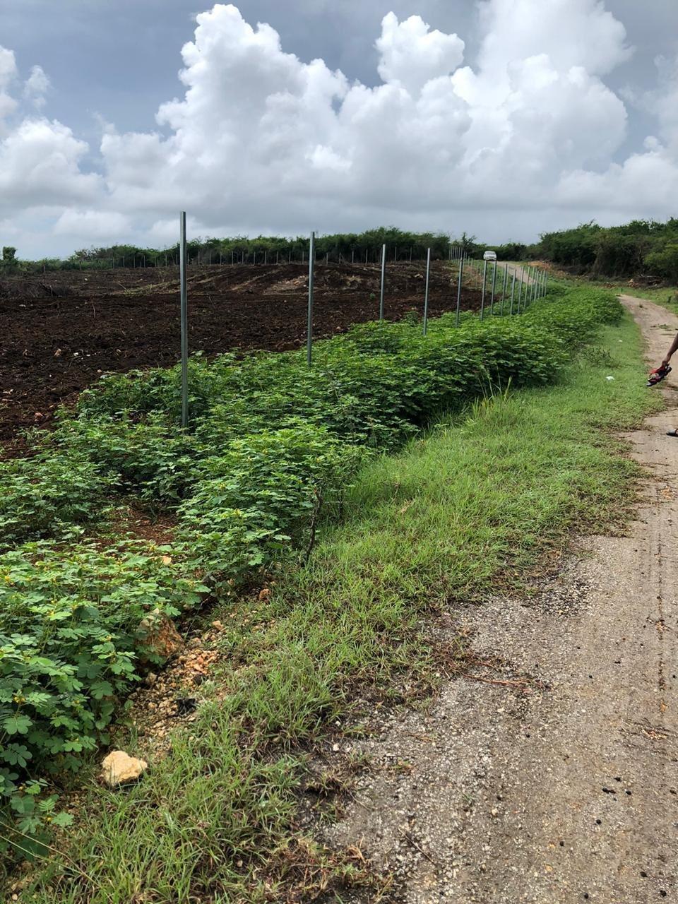 Third image of Part of Colbeck in Colbeck, St. Catherine, Jamaica - property is For Sale
