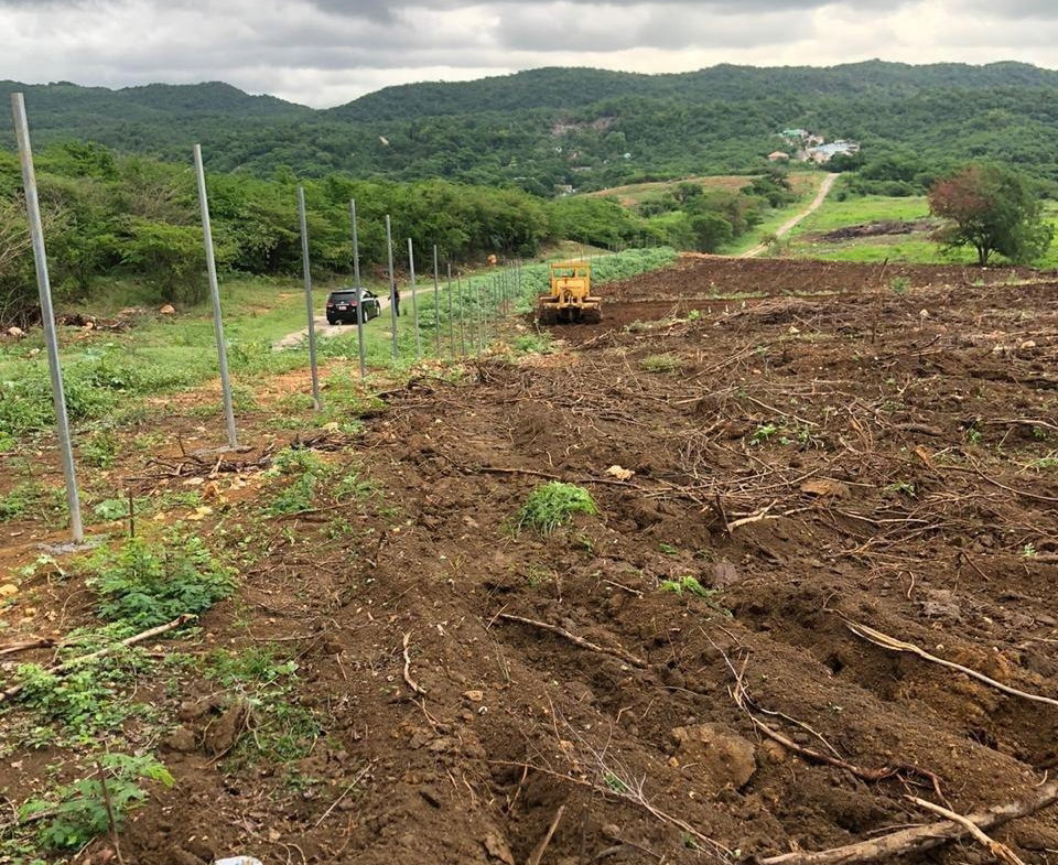 Fifth image of Part of Colbeck in Colbeck, St. Catherine, Jamaica - property is For Sale