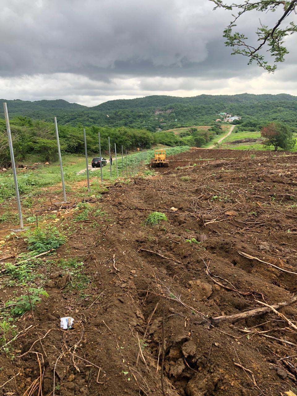 Fifth image of Part of Colbeck in Colbeck, St. Catherine, Jamaica - property is For Sale