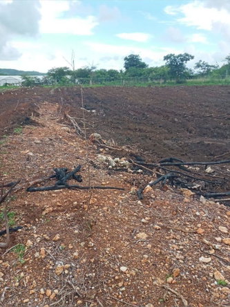 Sixth image of Part of Colbeck in Colbeck, St. Catherine, Jamaica - property is For Sale
