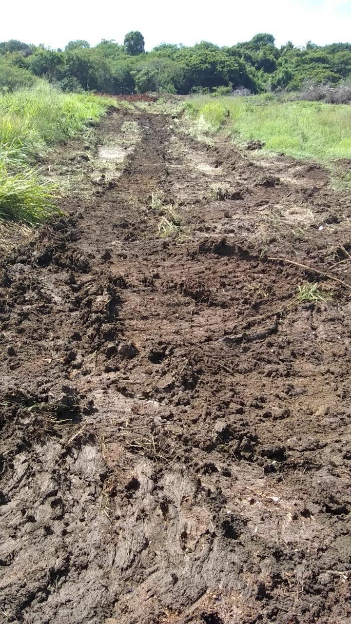 Seventh image of Part of Colbeck in Colbeck, St. Catherine, Jamaica - property is For Sale