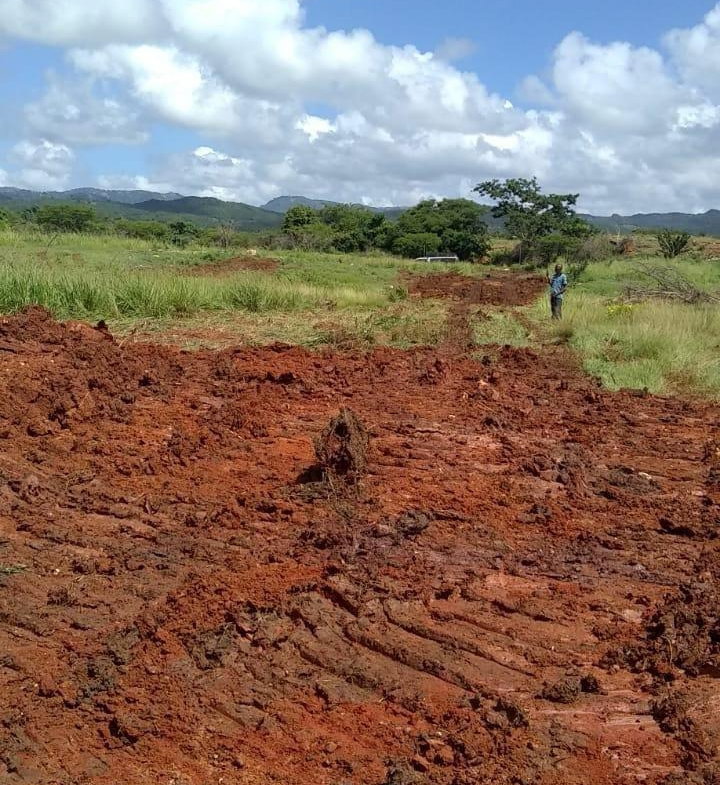 Eighth image of Part of Colbeck in Colbeck, St. Catherine, Jamaica - property is For Sale