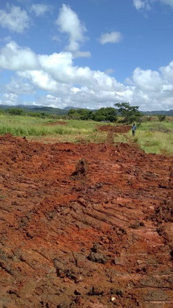 Eighth image of Part of Colbeck in Colbeck, St. Catherine, Jamaica - property is For Sale