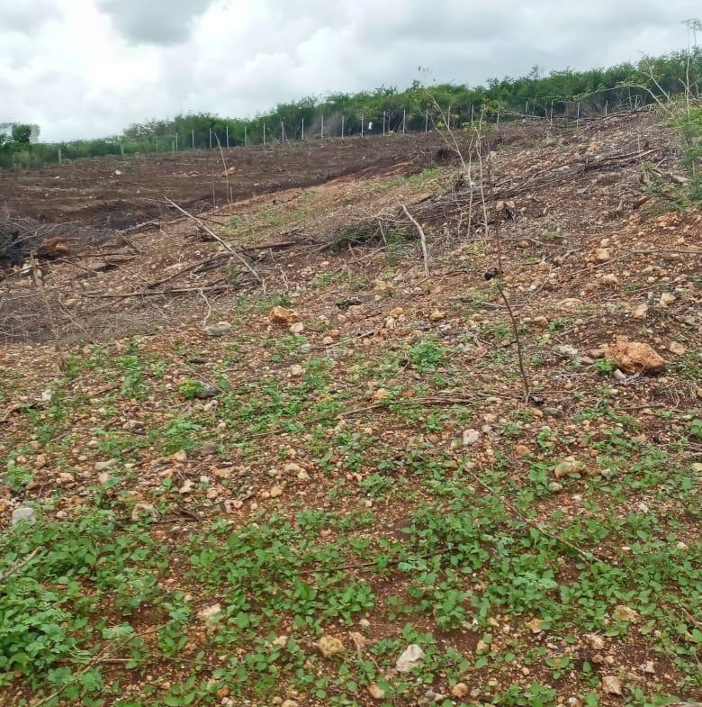 First image of Part of Colbeck in Colbeck, St. Catherine, Jamaica - property is For Sale