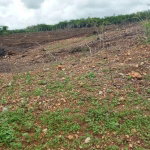 First image of Part of Colbeck in Colbeck, St. Catherine, Jamaica - property is For Sale