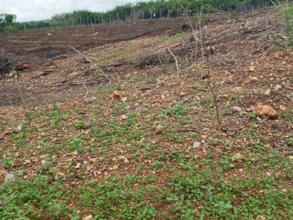 First image of Part of Colbeck in Colbeck, St. Catherine, Jamaica - property is For Sale