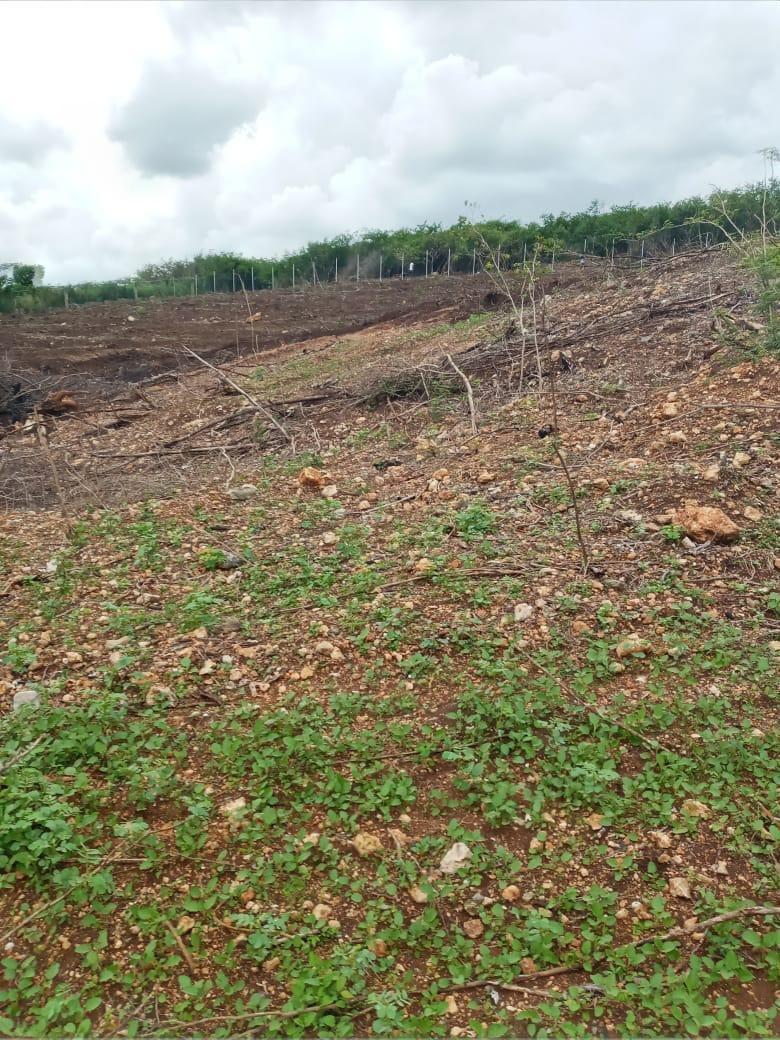 First image of Part of Colbeck in Colbeck, St. Catherine, Jamaica - property is For Sale