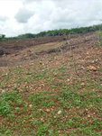 First image of Part of Colbeck in Colbeck, St. Catherine, Jamaica - property is For Sale