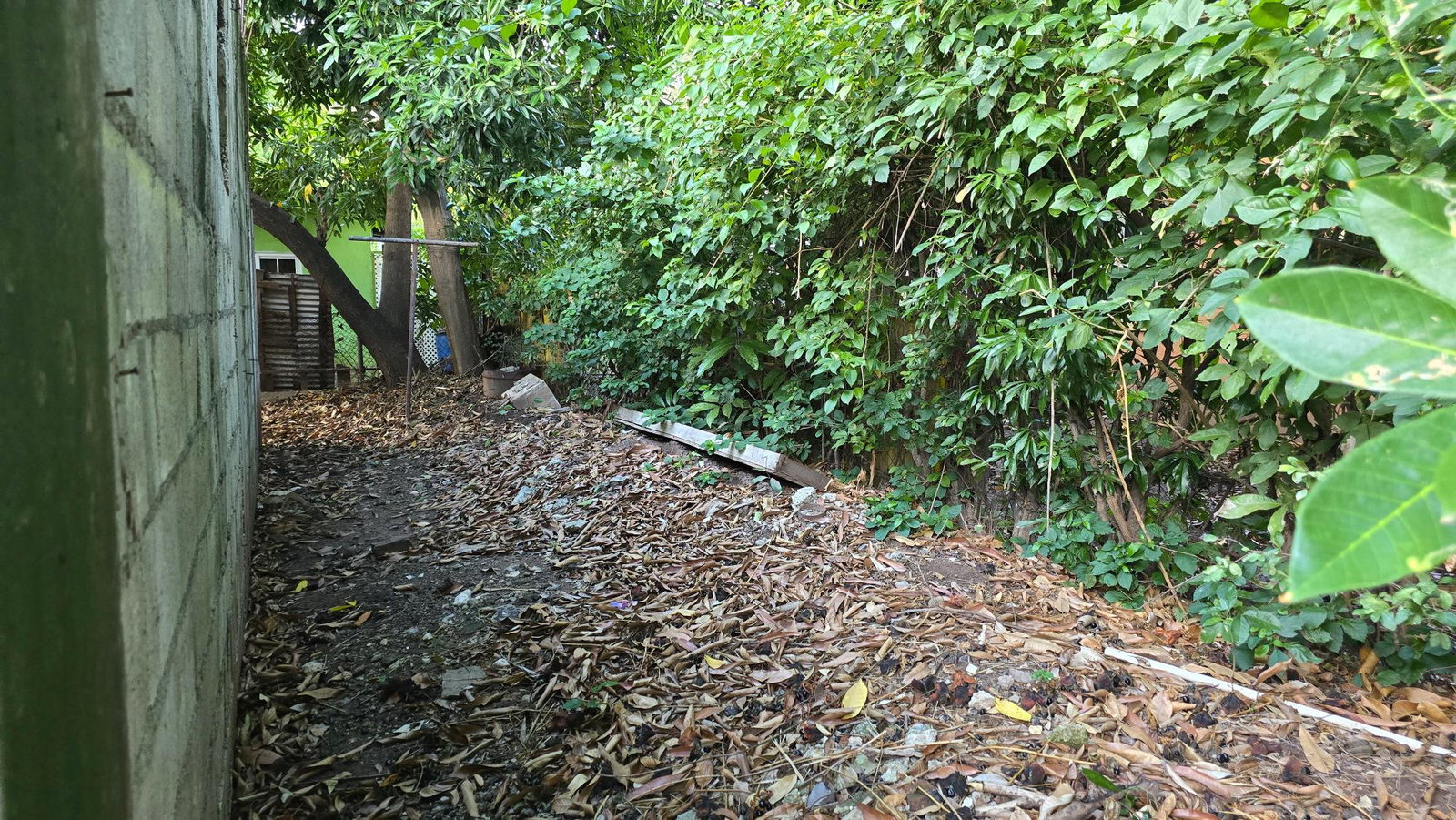 Twelfth image of 20 Winsome Avenue in Kingston 19, St. Andrew, Jamaica - property is For Sale