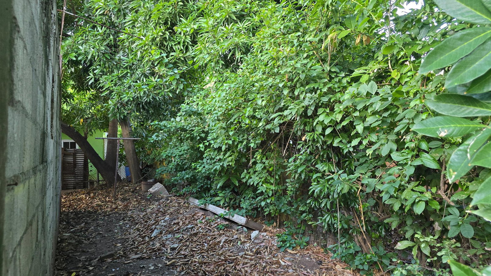 Thirteenth image of 20 Winsome Avenue in Kingston 19, St. Andrew, Jamaica - property is For Sale