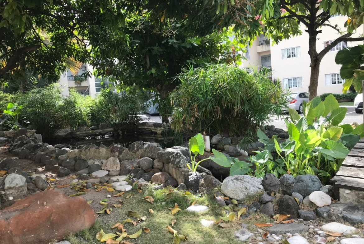 Twenty-Second image of A107- Plantation Springs in Kingston 20, St. Andrew, Jamaica - property is For Rent