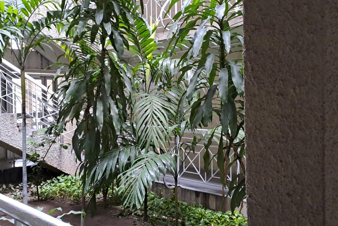 Ninth image of Oaklands, Constant Spring in Constant Spring P.O., St. Andrew, Jamaica - property is For Sale