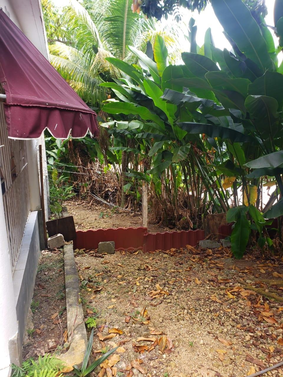 Sixteenth image of 11 Lime Hall St, Ann in Lime Hall, St. Ann, Jamaica - property is For Rent