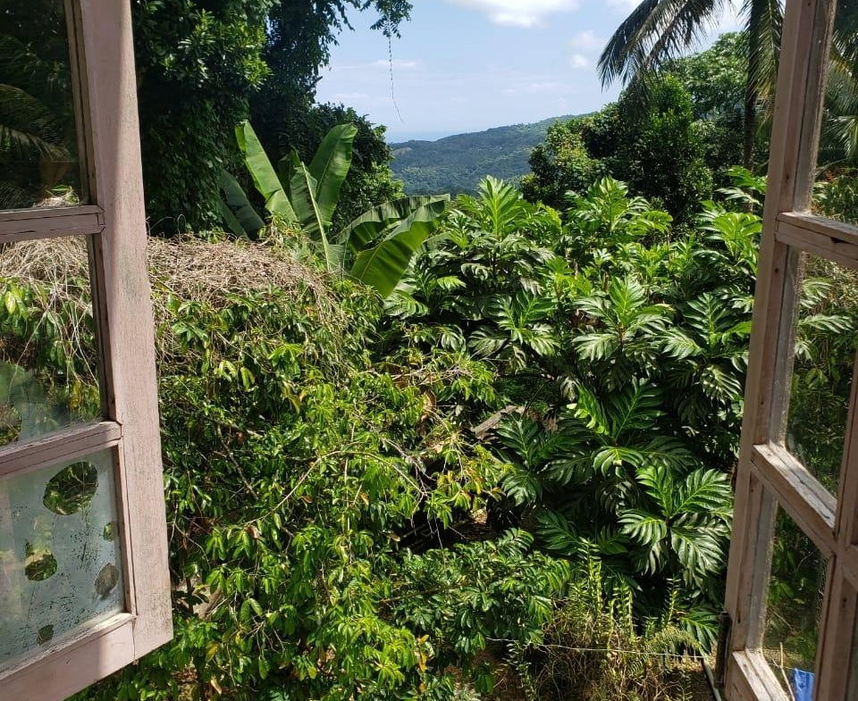 Fifth image of 11 Lime Hall St, Ann in Lime Hall, St. Ann, Jamaica - property is For Rent