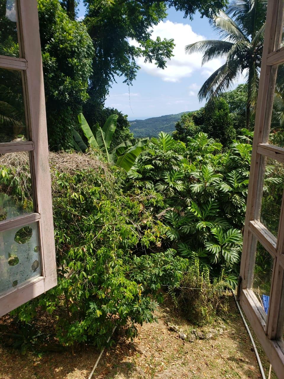 Fifth image of 11 Lime Hall St, Ann in Lime Hall, St. Ann, Jamaica - property is For Rent