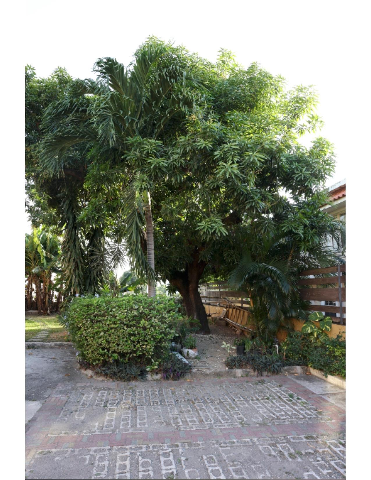 Thirteenth image of 125 Red Hill Road in Kingston 19, St. Andrew, Jamaica - property is For Sale
