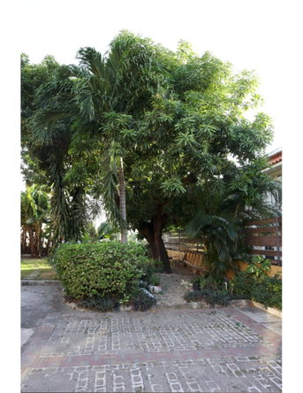 Thirteenth image of 125 Red Hill Road in Kingston 19, St. Andrew, Jamaica - property is For Sale