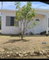 First image of Lot 516 Cedar Avenue, Longville p in Longville Park, Clarendon, Jamaica - property is For Rent