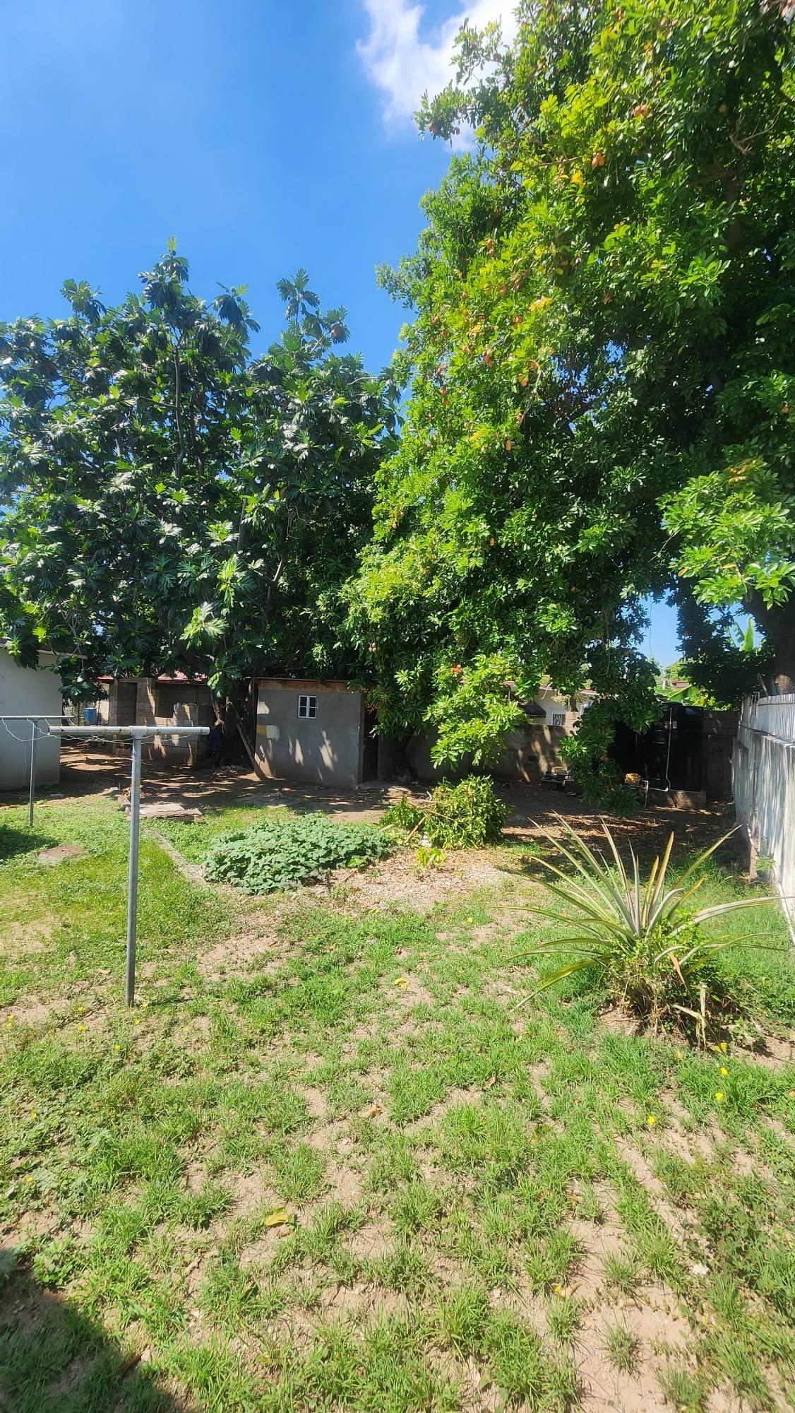 Charming-2-Family-Home-for-Sale-in-Zadie-Gardens-Jamaica Twenty-Sixth image of 5 Melcourt Terrace in Kingston 20, St. Andrew, Jamaica - property is For Sale