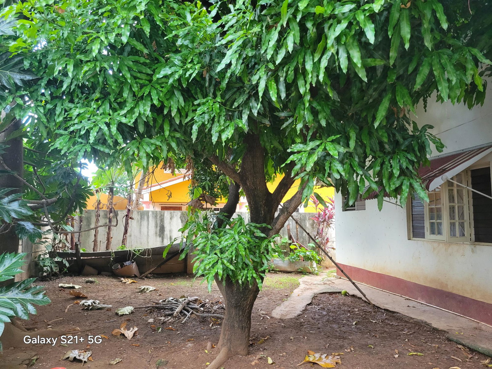 Charming-3-Bedroom-Single-Storey-House-for-Sale-in-Havendale-Jamaica Fourteenth image of 4 Riverside Drive in Kingston 19, St. Andrew, Jamaica - property is For Sale