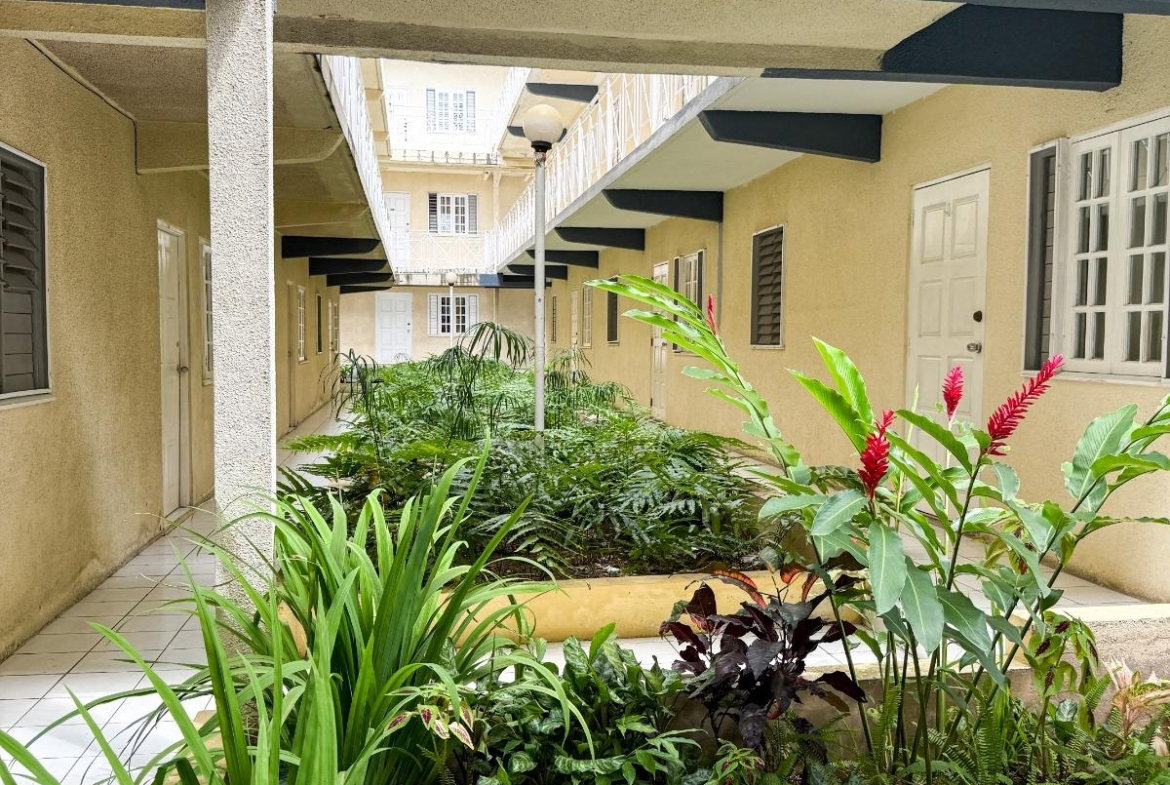 First image of 331-6 Surbiton Road in Kingston 10, St. Andrew, Jamaica - property is For Rent
