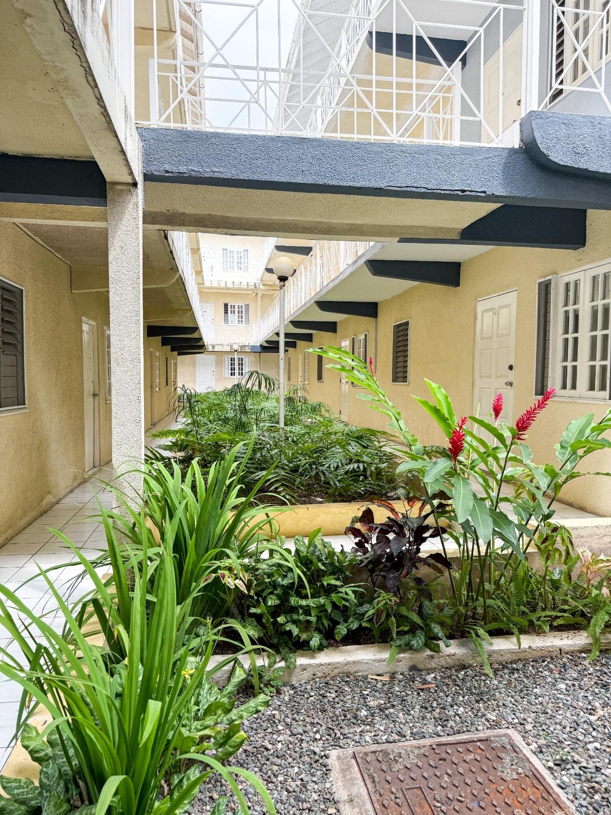 Charming-3BD-Apartment-for-Rent-in-Surbiton-St.-Andrew First image of 331-6 Surbiton Road in Kingston 10, St. Andrew, Jamaica - property is For Rent
