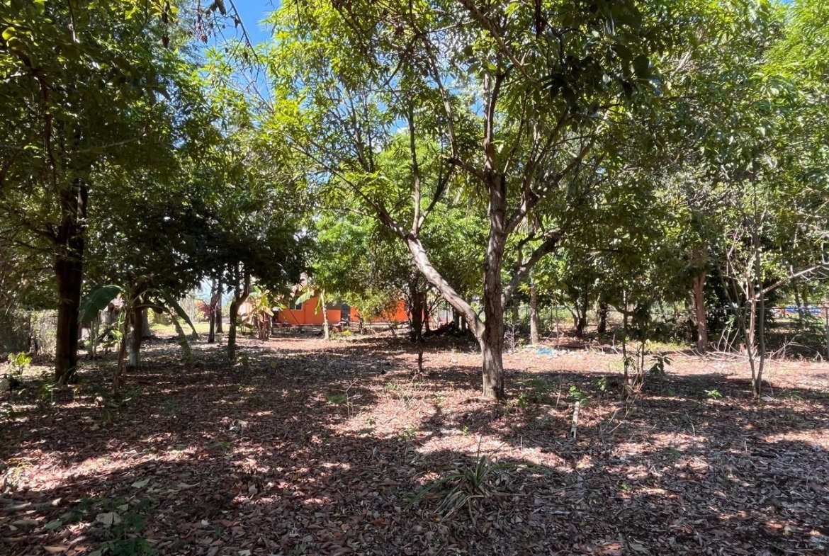 Thirteenth image of 26c- Four Paths Sheckles in Four Paths, Clarendon, Jamaica - property is For Sale