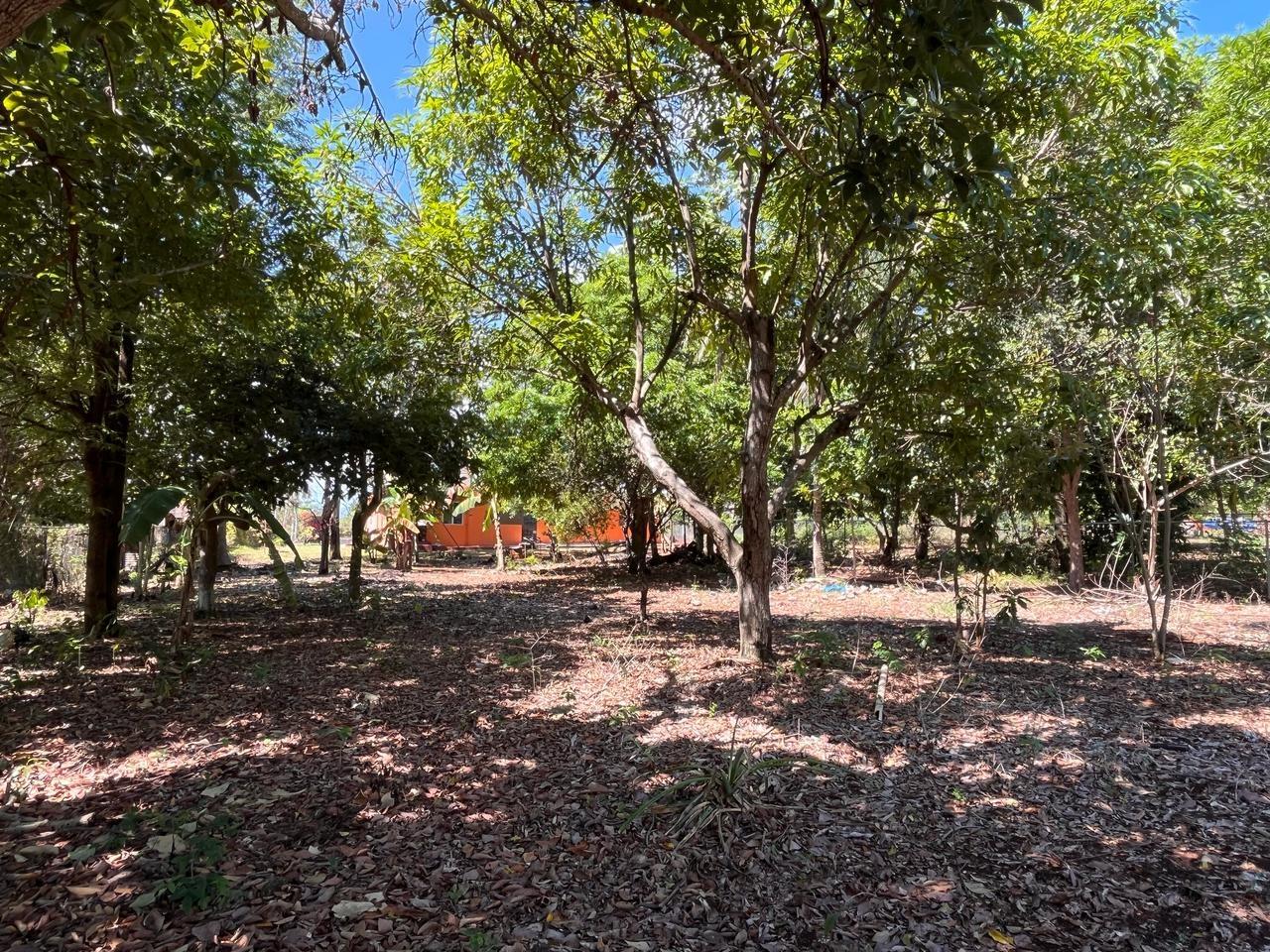 Thirteenth image of 26c- Four Paths Sheckles in Four Paths, Clarendon, Jamaica - property is For Sale