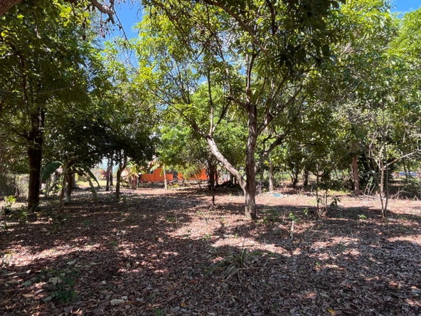 Thirteenth image of 26c- Four Paths Sheckles in Four Paths, Clarendon, Jamaica - property is For Sale