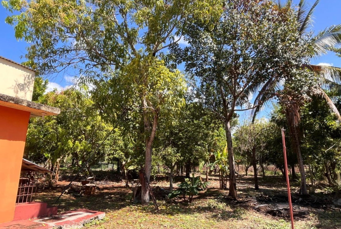 Fourteenth image of 26c- Four Paths Sheckles in Four Paths, Clarendon, Jamaica - property is For Sale