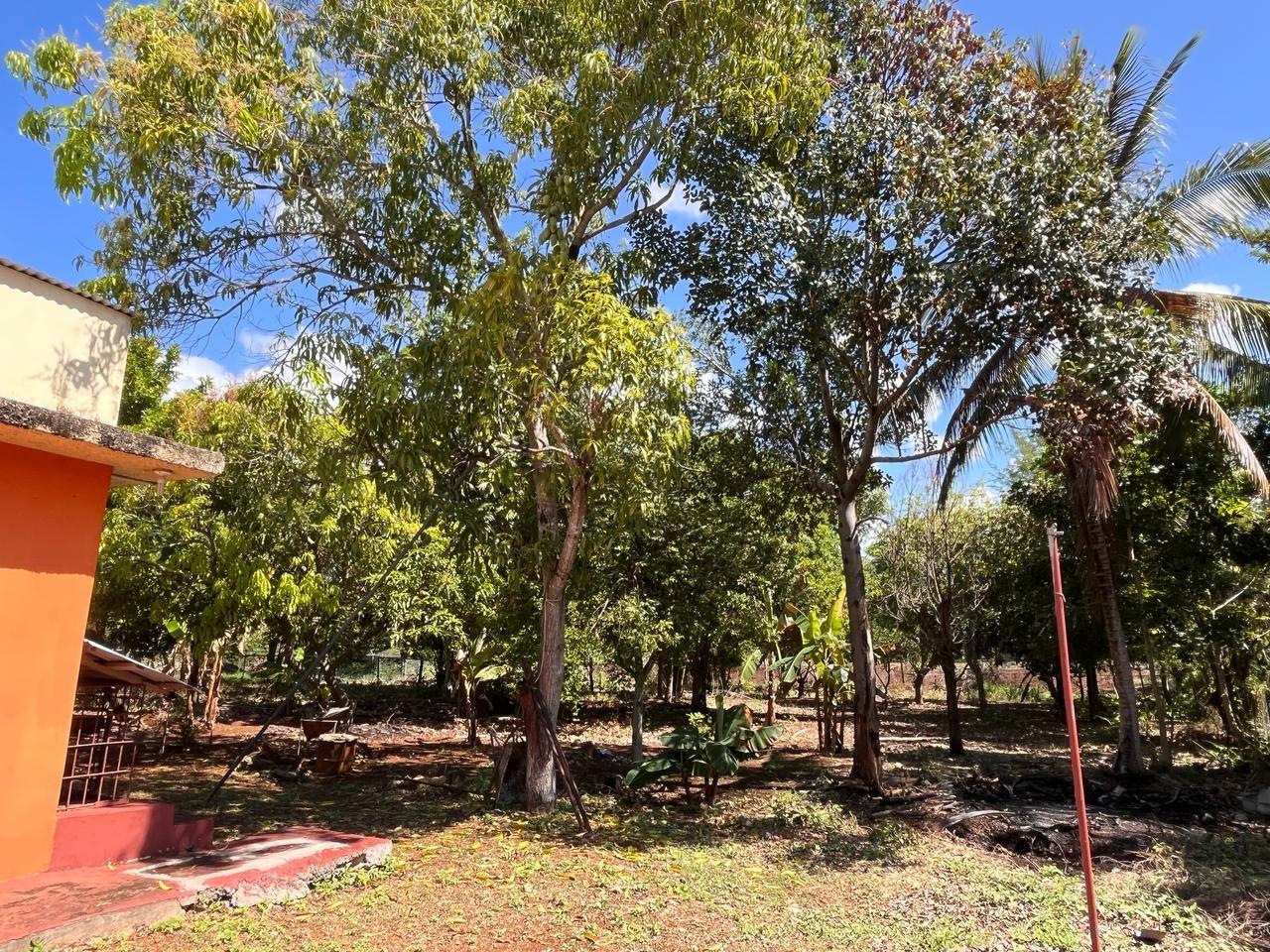 Fourteenth image of 26c- Four Paths Sheckles in Four Paths, Clarendon, Jamaica - property is For Sale