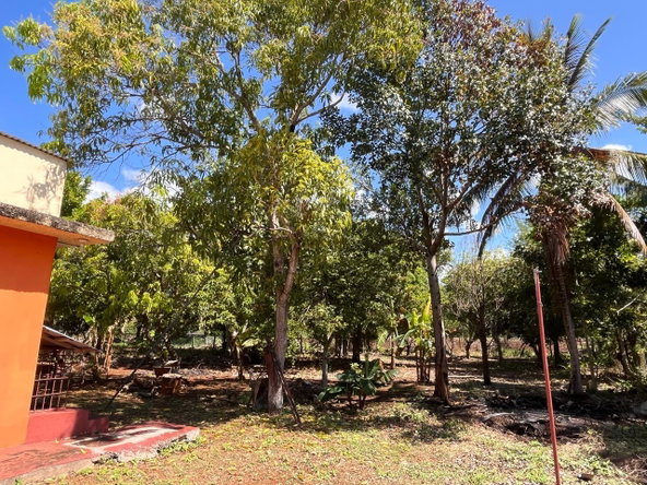 Fourteenth image of 26c- Four Paths Sheckles in Four Paths, Clarendon, Jamaica - property is For Sale