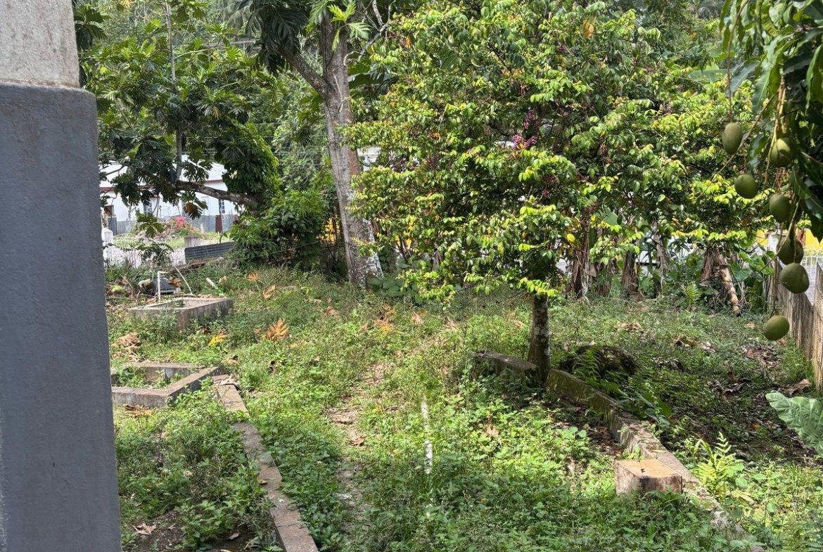 Eighth image of Frankfield in Frankfield, Clarendon, Jamaica - property is For Sale