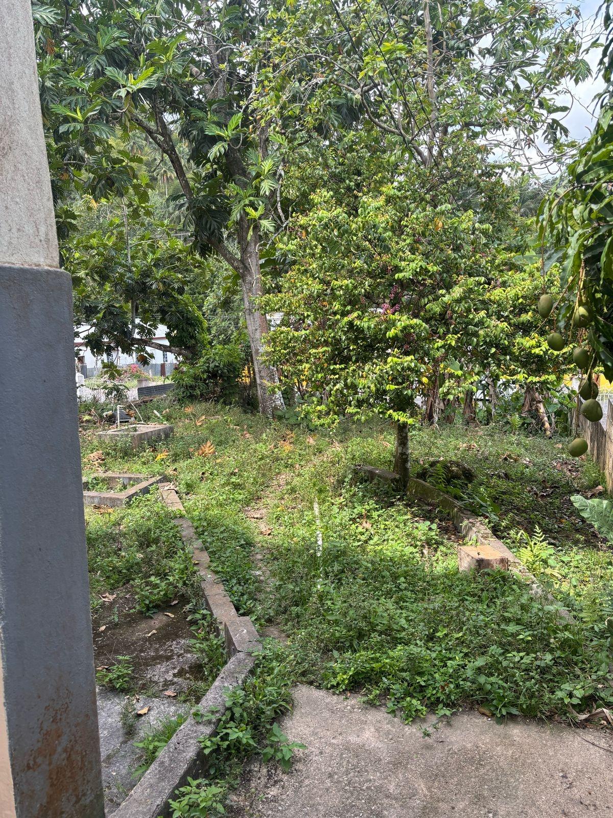 Eighth image of Frankfield in Frankfield, Clarendon, Jamaica - property is For Sale