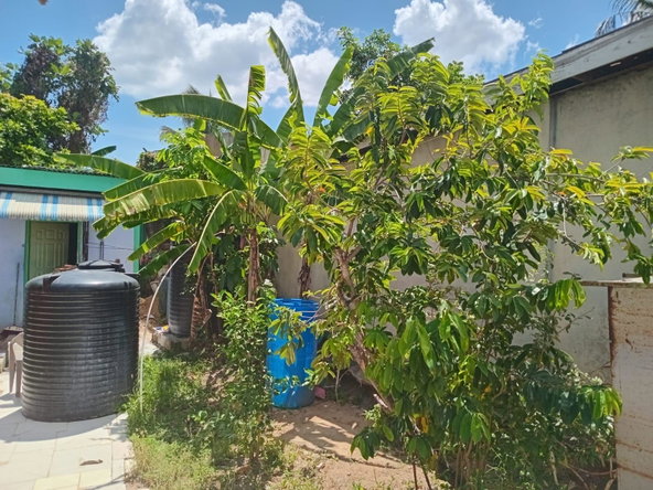 Seventh image of Leigh Farm, St. Catherine in Gordon Pen, St. Catherine, Jamaica - property is For Sale