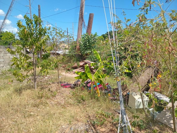 Eighth image of Leigh Farm, St. Catherine in Gordon Pen, St. Catherine, Jamaica - property is For Sale