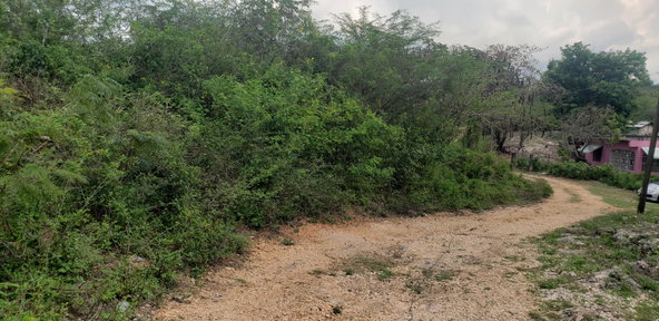 Sixth image of 51 Halse Hall, May Pen in May Pen, Clarendon, Jamaica - property is For Sale
