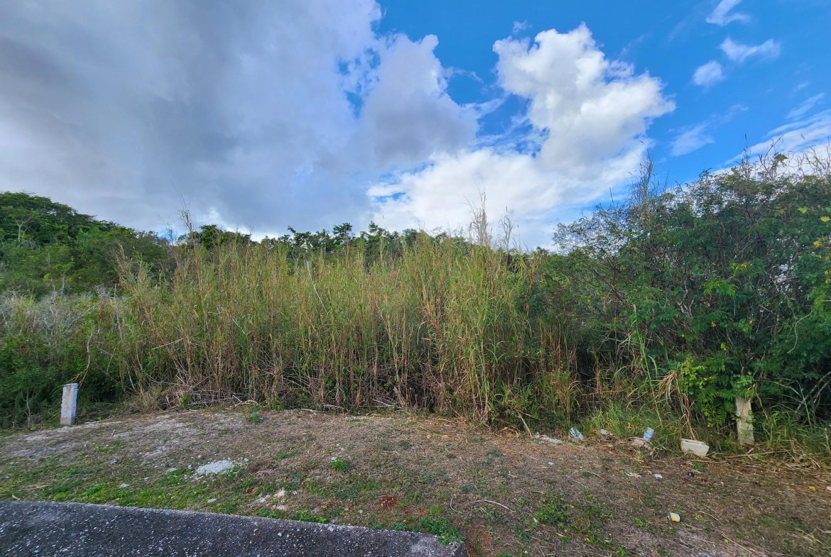 Fourth image of Lot # 454- Moorlands Estate in Mooreland, Manchester, Jamaica - property is For Sale