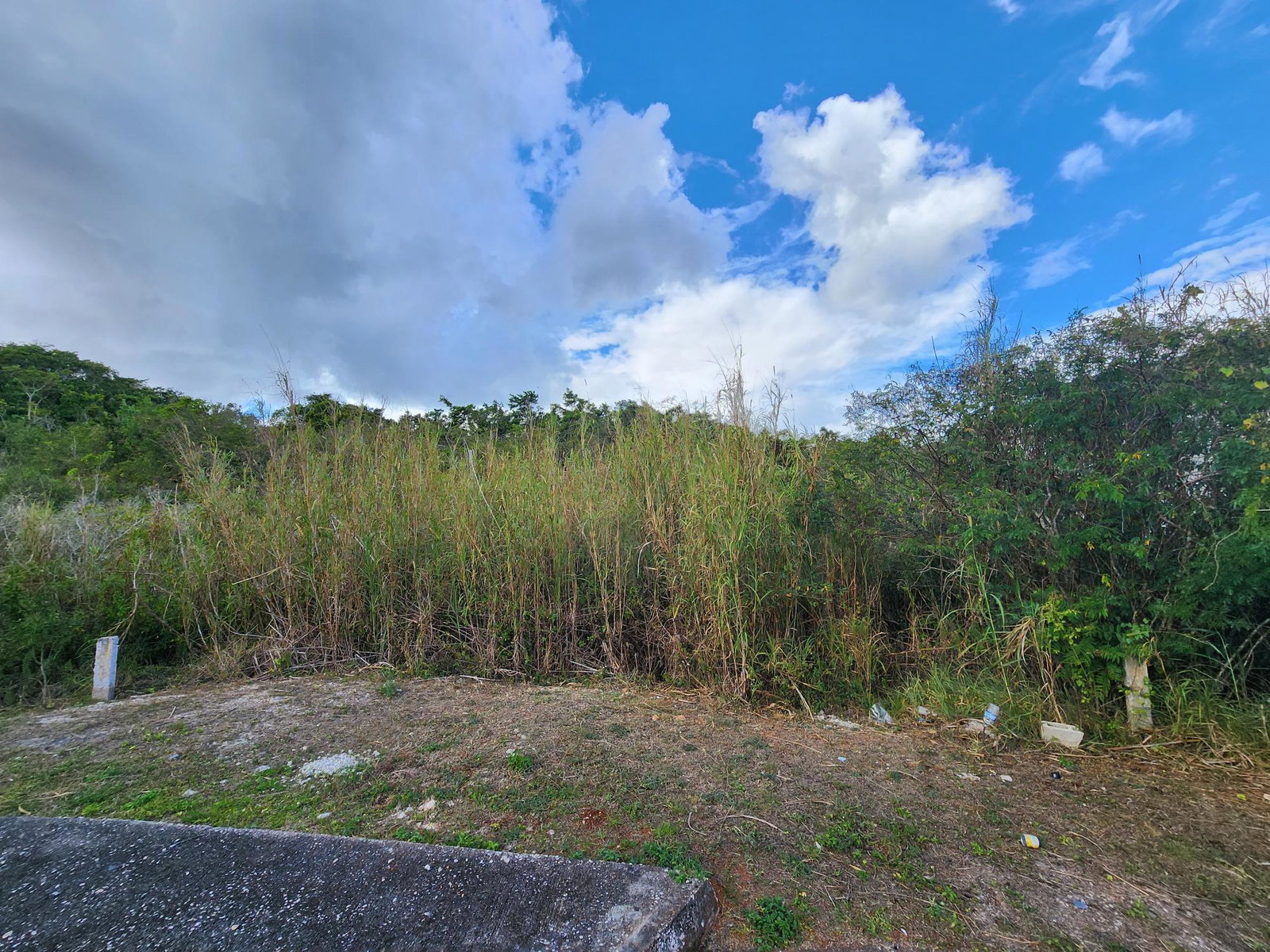 Fourth image of Lot # 454- Moorlands Estate in Mooreland, Manchester, Jamaica - property is For Sale