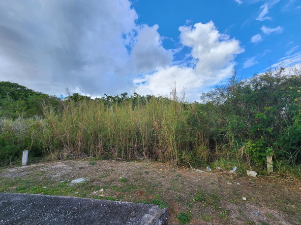 Fourth image of Lot # 454- Moorlands Estate in Mooreland, Manchester, Jamaica - property is For Sale