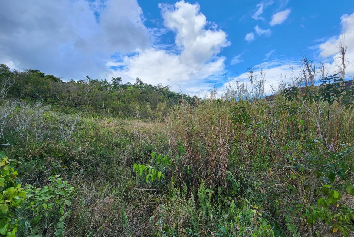 Fifth image of Lot # 454- Moorlands Estate in Mooreland, Manchester, Jamaica - property is For Sale