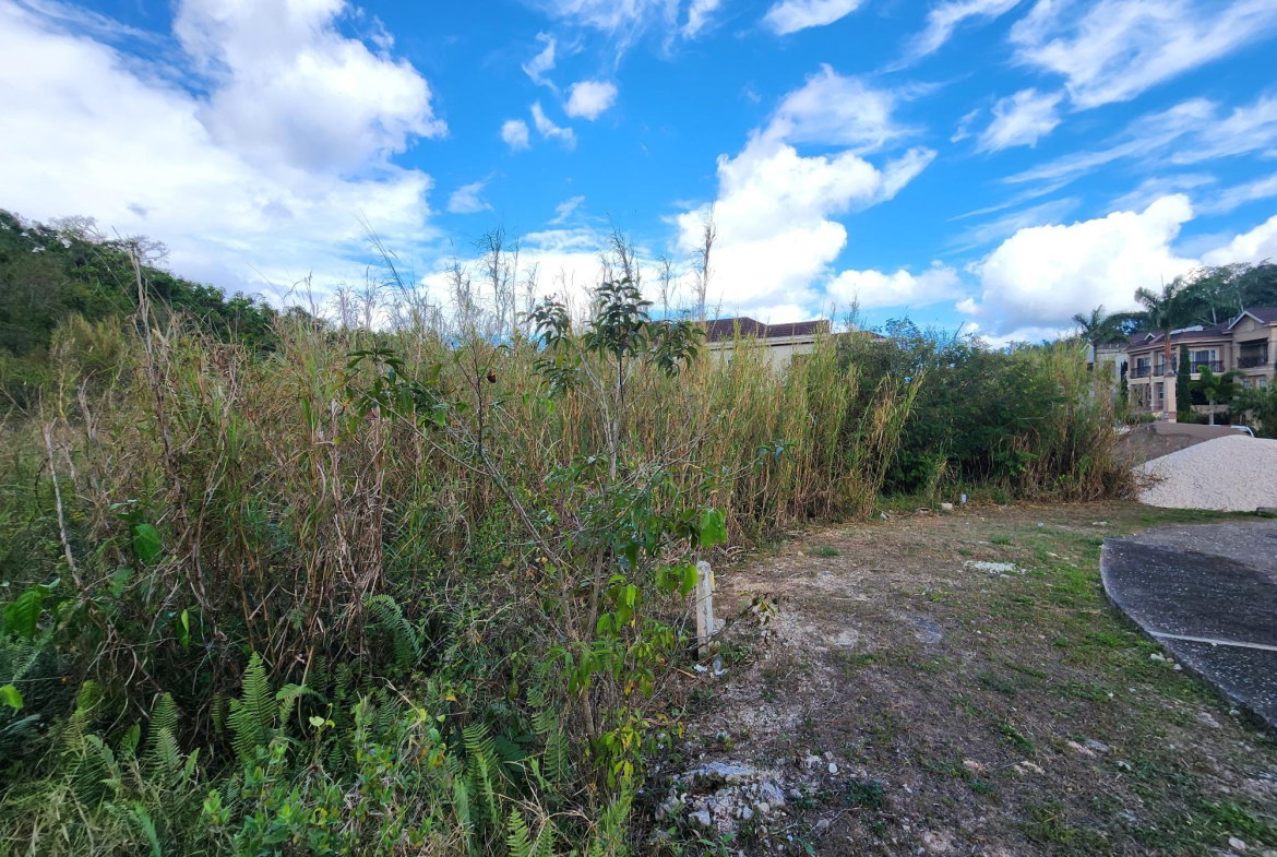Sixth image of Lot # 454- Moorlands Estate in Mooreland, Manchester, Jamaica - property is For Sale