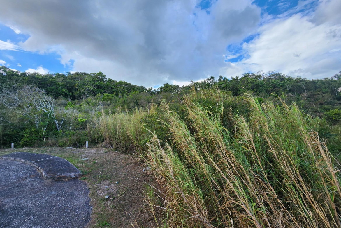 Seventh image of Lot # 454- Moorlands Estate in Mooreland, Manchester, Jamaica - property is For Sale