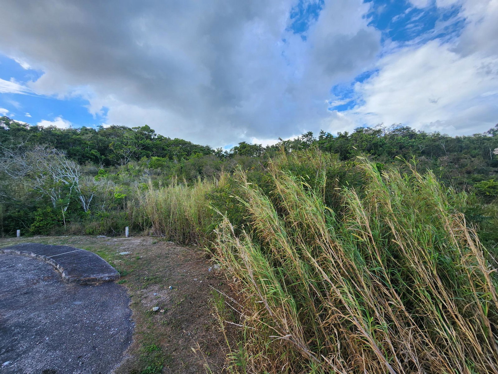 Seventh image of Lot # 454- Moorlands Estate in Mooreland, Manchester, Jamaica - property is For Sale